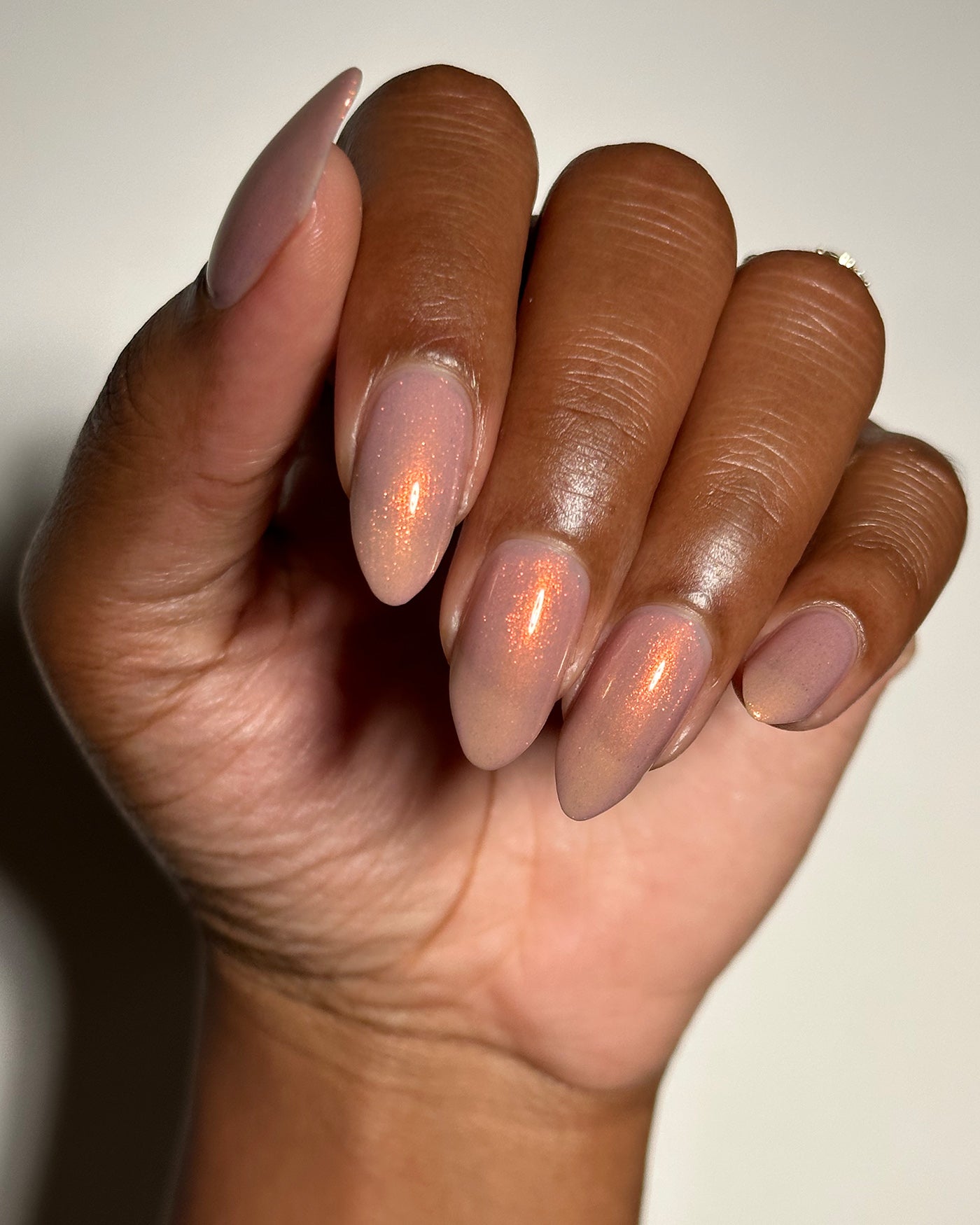 Sand Viper - Image 6