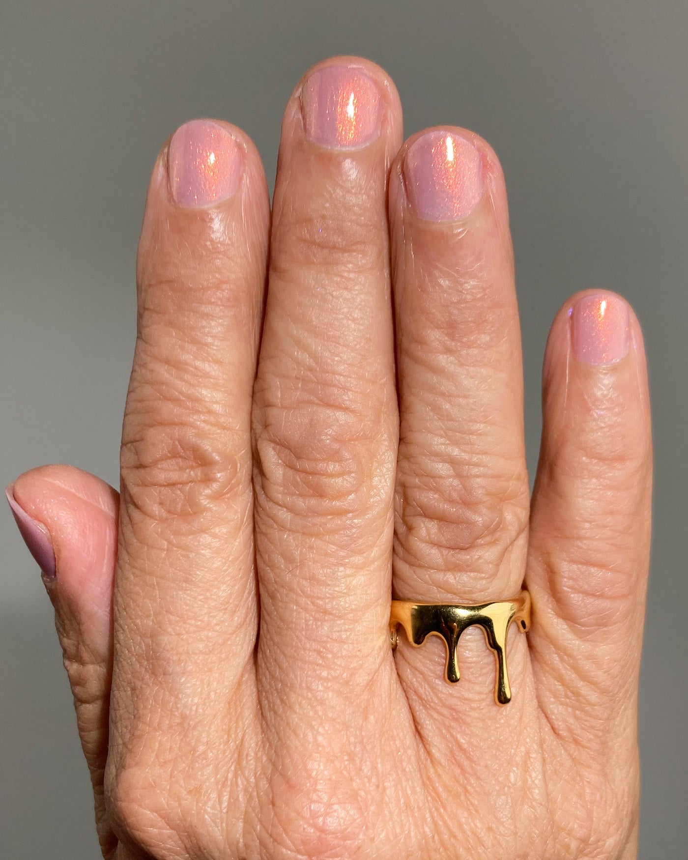 Sand Viper - Image 3